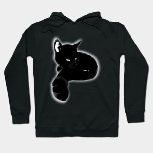 Colorful Animals - black cat Hoodie